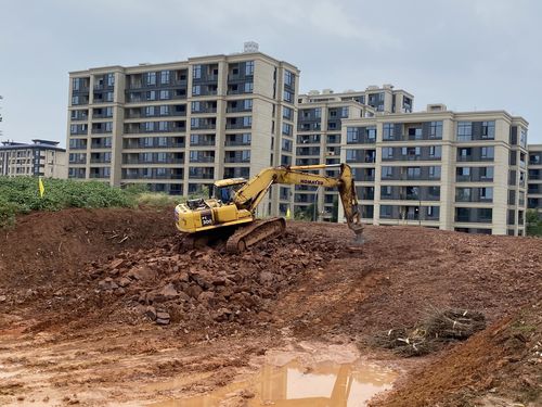 金品区块周边市政道路每日一报 道路挖掘中介服务专题